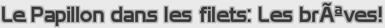 Le Papillon dans les filets: Les brÃªves!